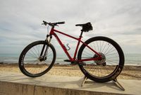 Hardtail Mountain Bikes rent-a-bike Cala Millor